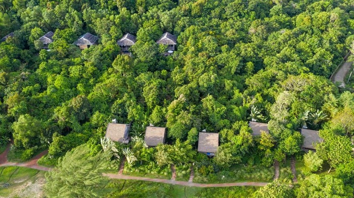 أفضل فنادق في العالم وسط الغابات والحياة البرية